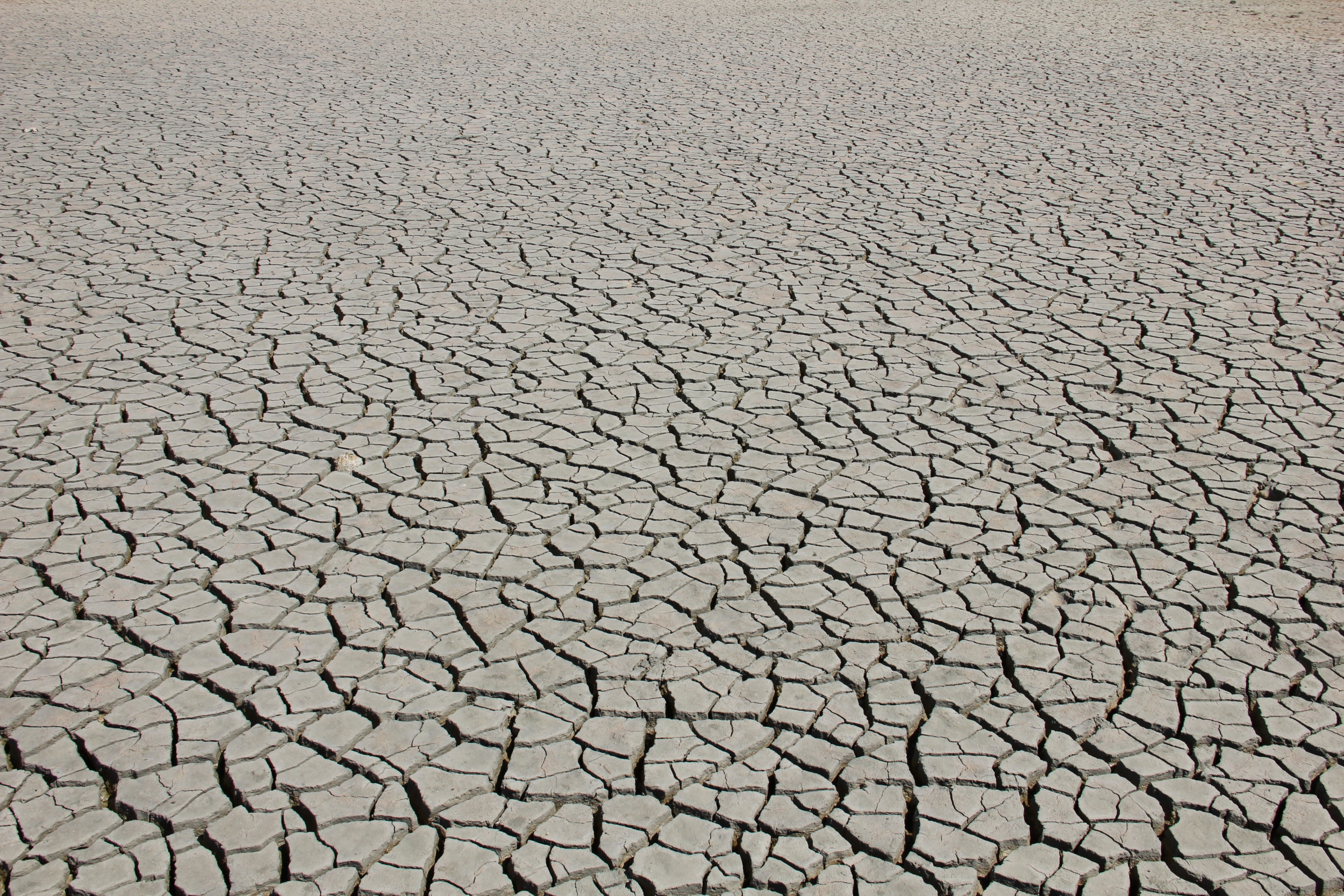 a dried-out lagoon