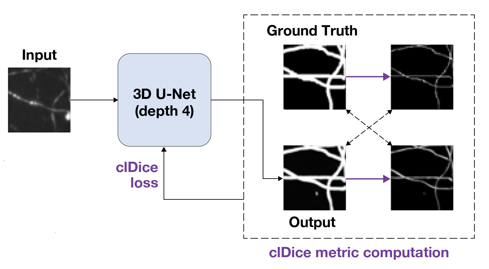 The flow chart shows the output of using soft-skeletonization so that centerline information can be achieved.