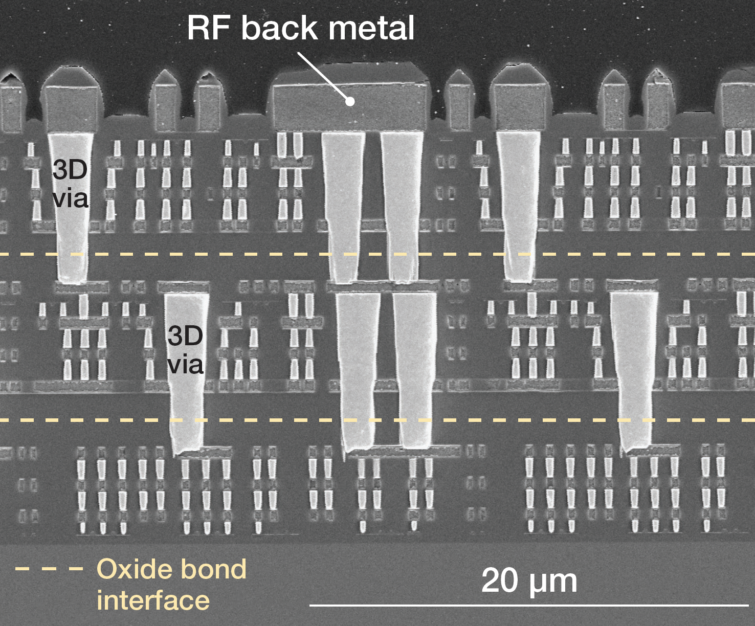 3D-integrated FDSOI CMOS circuit. 