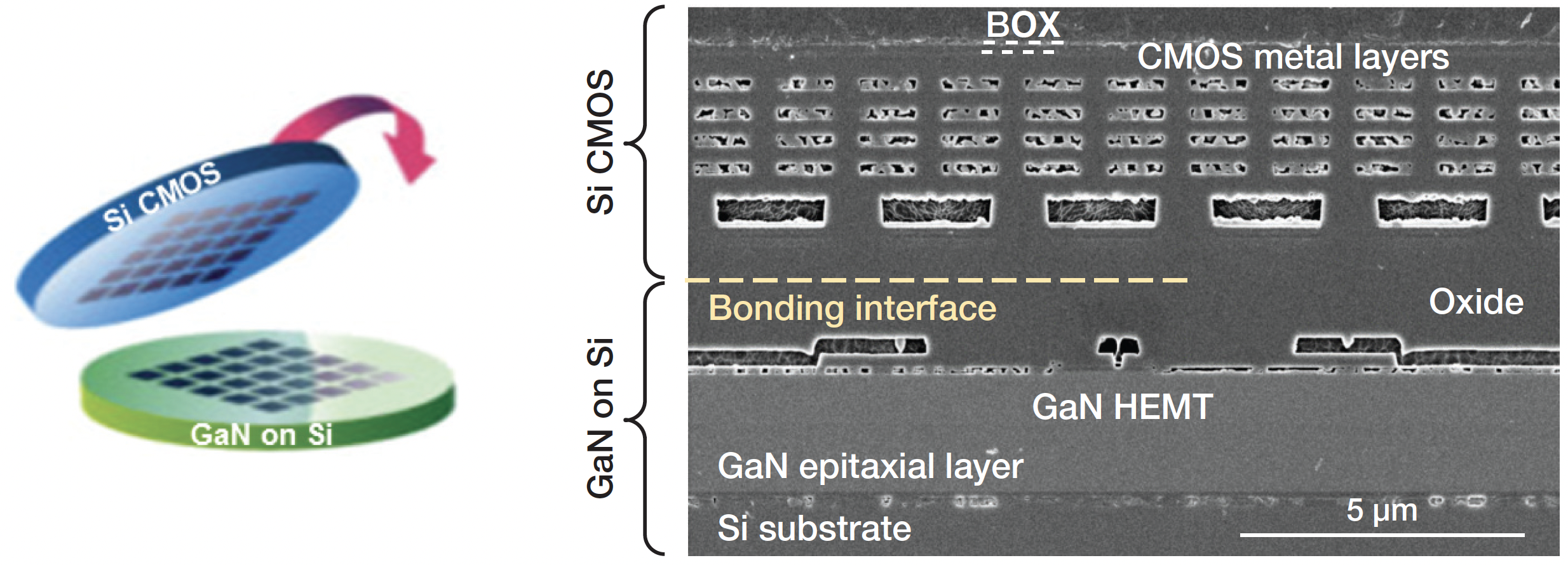 200-mm-diameter GaN-on-Si MMIC and Si CMOS wafers are 3D integrated at wafer scale. 