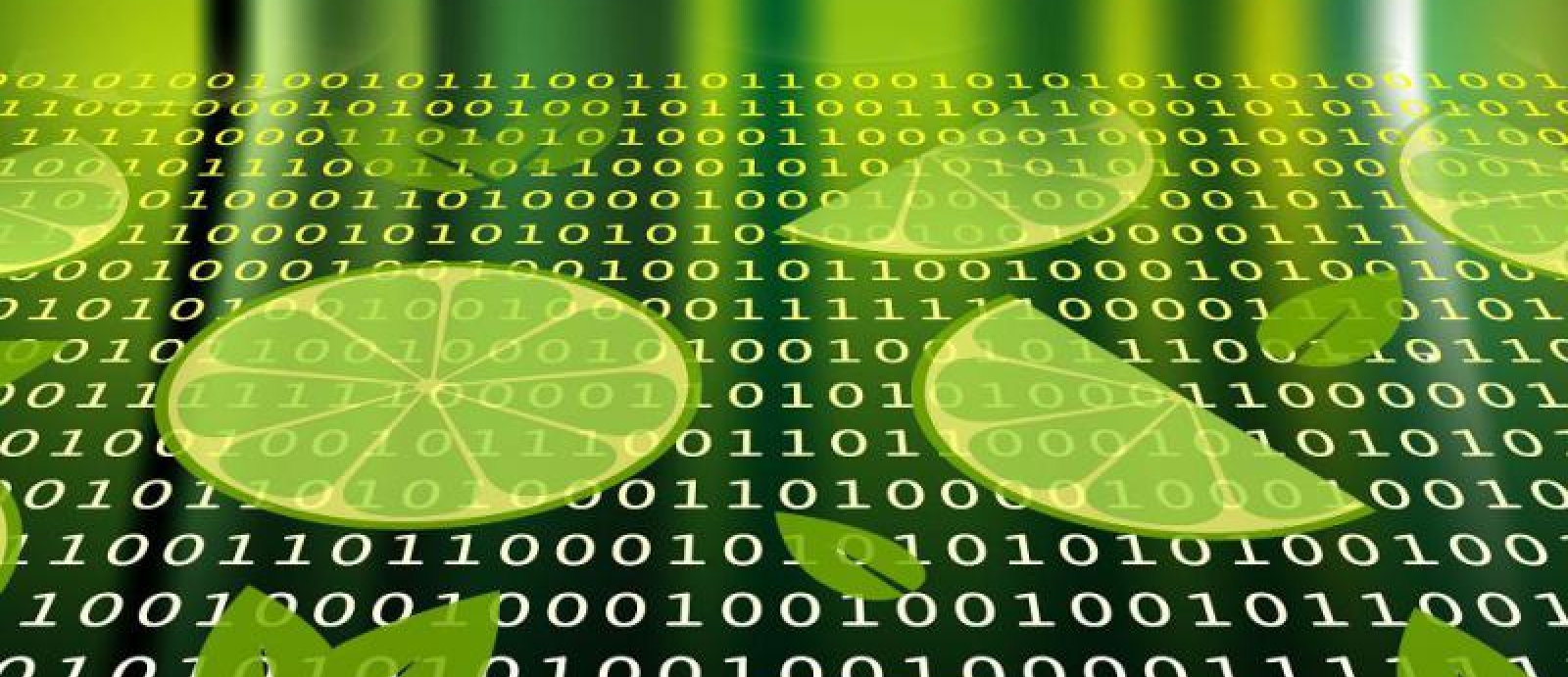 an illustration of lime slices over an array of 1s and 0s
