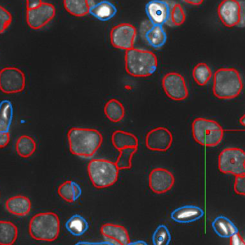 Image of sample raw data parsed by NeuroTrALE