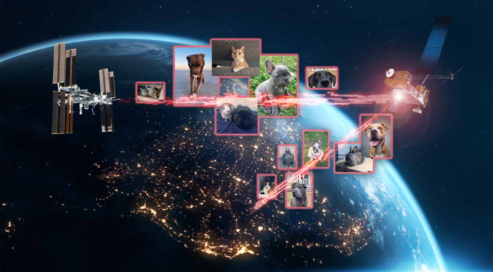 A collage of pet photos — including cats, dogs, birds, and rabbits — overlaid on Earth with laser links between Earth and a communications terminal on the International Space Station. 