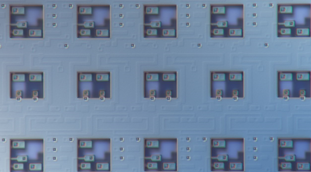 A magnified view of superconducting circuits. 